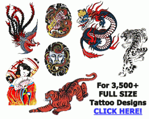 Dragon Tattoo Designs on Dragon Tattoos For Men   Ideas   Designs  Find Your Dream Tattoo Here