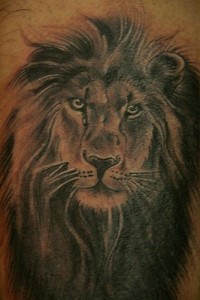 Lion tattoo