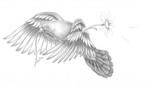 bird pigeon tattoo