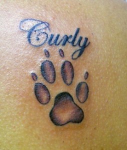 paw print tattoo designs on Uncategorized - 6/8 - TattooMeNow.