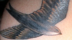 Swallow tattoo 3