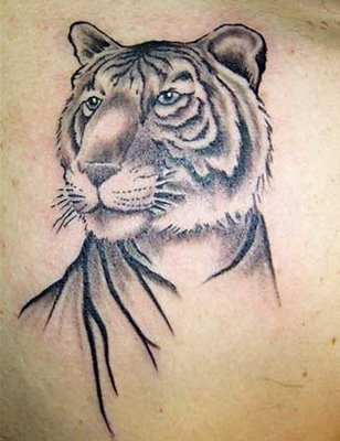 White Tattoos on Portrait Style White Tiger Tattoos