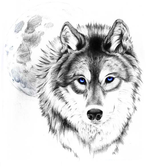 tattoo designs u2013 wolf tattoos gallery 1 tattoo designs u2013 wolf tattoos gallery 1