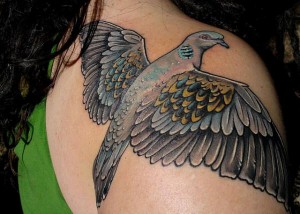 Realistic Dove Tattoo