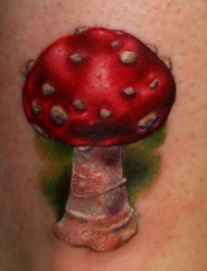 Realistic Mushroom Tattoo