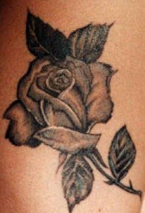 Theme Black Rose Tattoo
