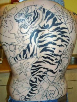 12 White Tiger Tattoos to Model  Tattoo Me Now