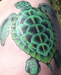 Realistic Turtle Tattoo