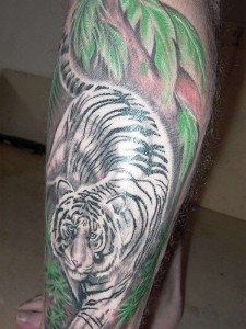 White Tiger Tattoos in Natural Habitat