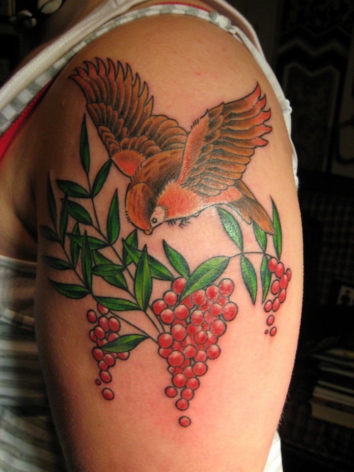 bird tattoo on shoulder