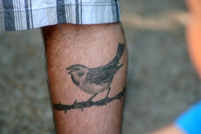 bird tattoo on calf