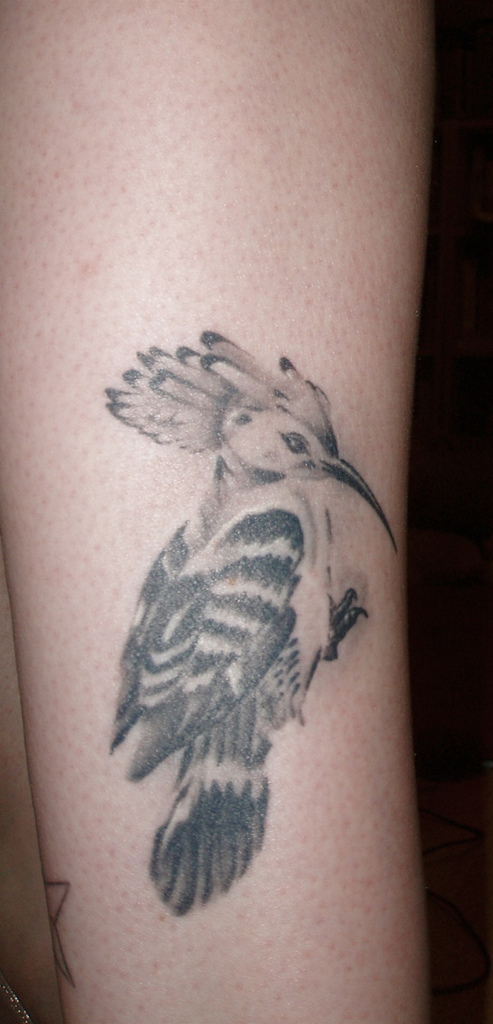 bird tattoo