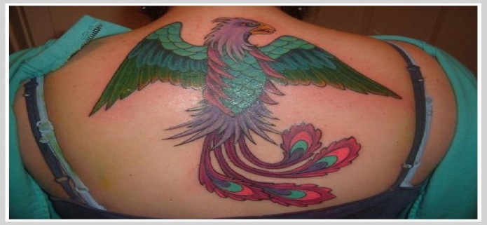 phoenix tattoo on back