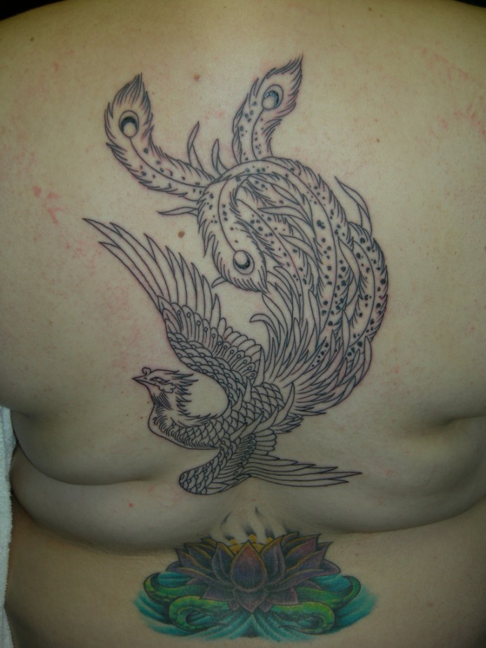 phoenix tattoo on back