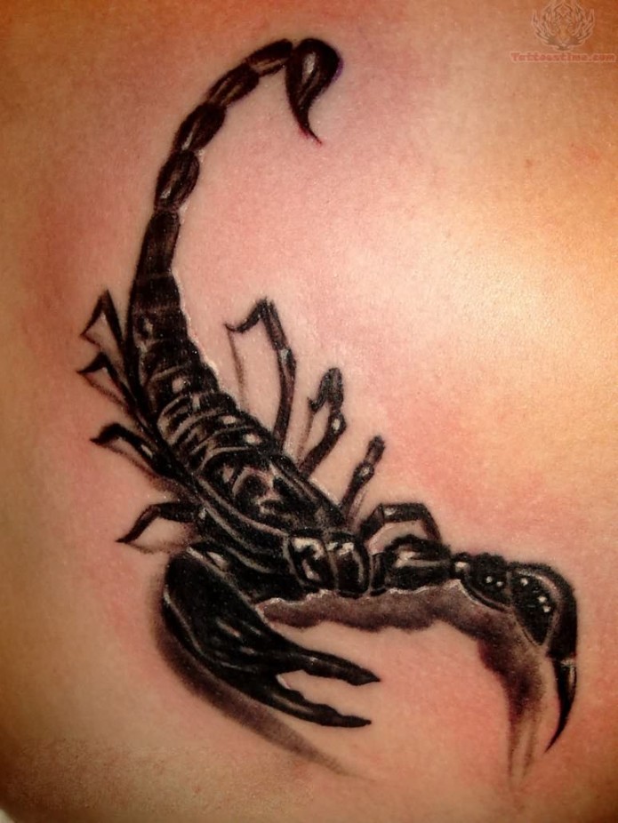 Shoulder Scorpion Tattoos for Women - Tattoo Designs Piercing Body ... | Neck  tattoo for guys, Back of neck tattoo, Neck tattoo