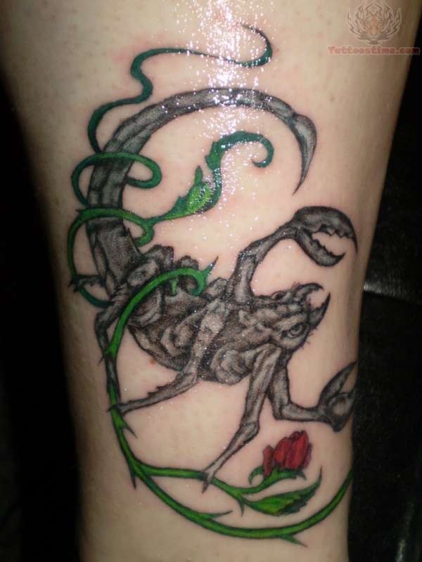 scorpion tattoo