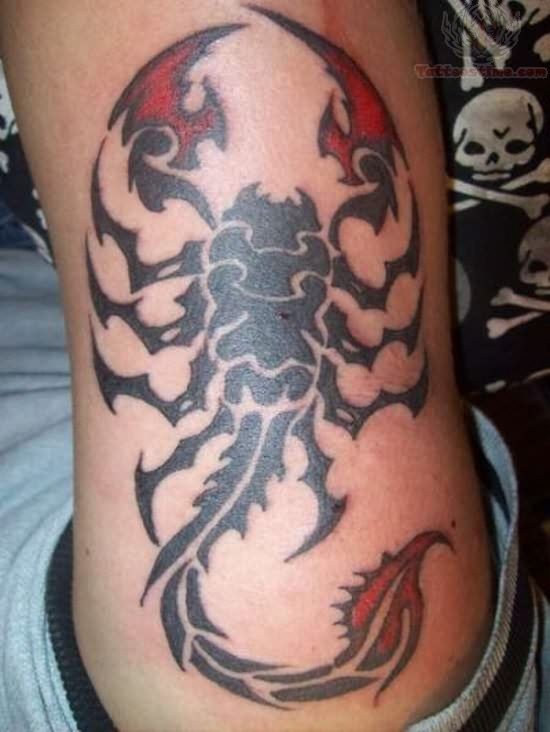 scorpion tattoo