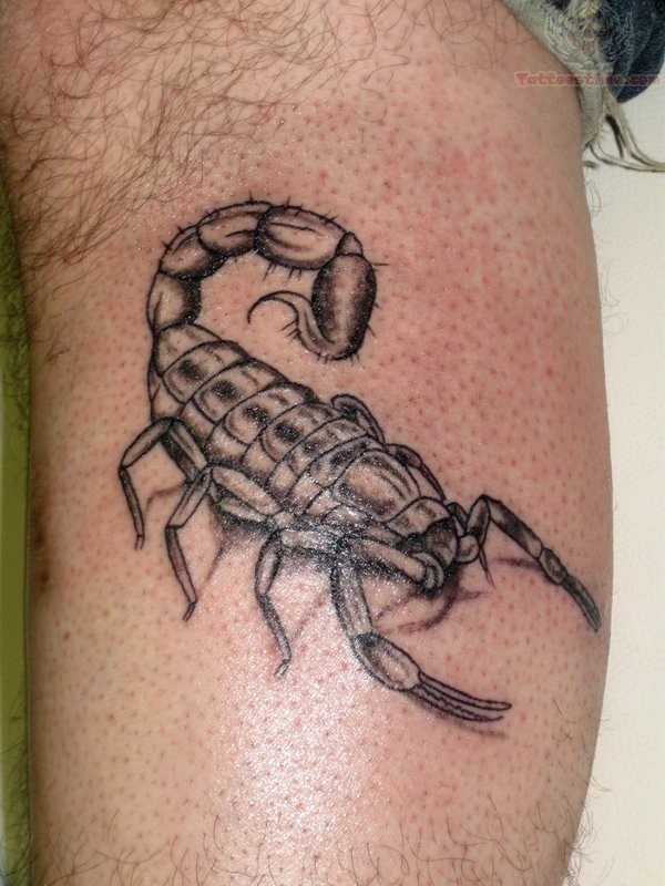 scorpion tattoo