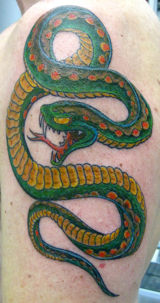 Snake Tattoos Tattoo Me Now