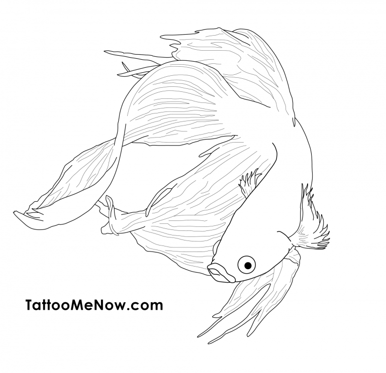 Unique And Beautiful Betta Fish Tattoo Designs And Their Meaning 