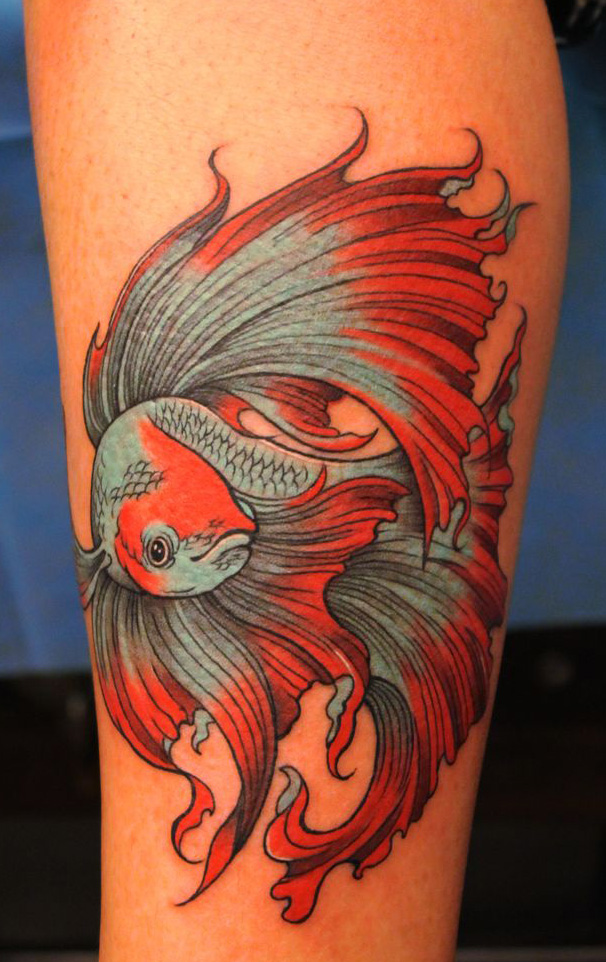 FYT  My new betta fish tattoo a coverup piece done