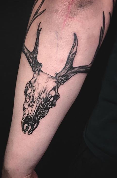 300 Deer Skull Tattoo Illustrations RoyaltyFree Vector Graphics  Clip  Art  iStock