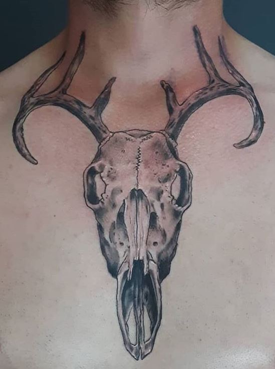 Small Animal Skull Tattoos Best Tattoo Ideas