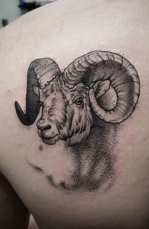 Aries Ram Tattoo by FrankyLongtie on DeviantArt