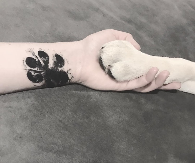 Pet Tattoos  Immortalize your Best Friend  Warmart Ink Tattoo And Body  Piercing
