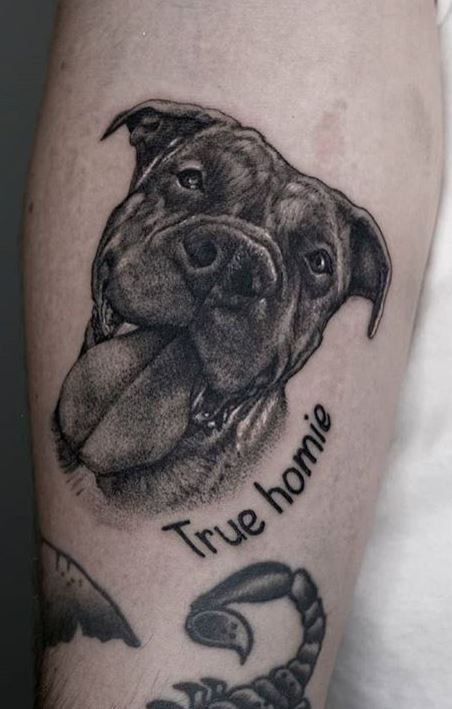  1001  variantes originales du tatouage patte de chat  Trendy tattoos  Dog memorial tattoos Dog tattoos
