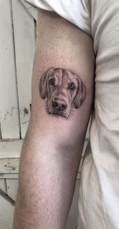 Portrait of my Great Dane Fury Done by Shae Sullivan at Haunted Heart  Tattoo in Tulsa Ok  rtattoos