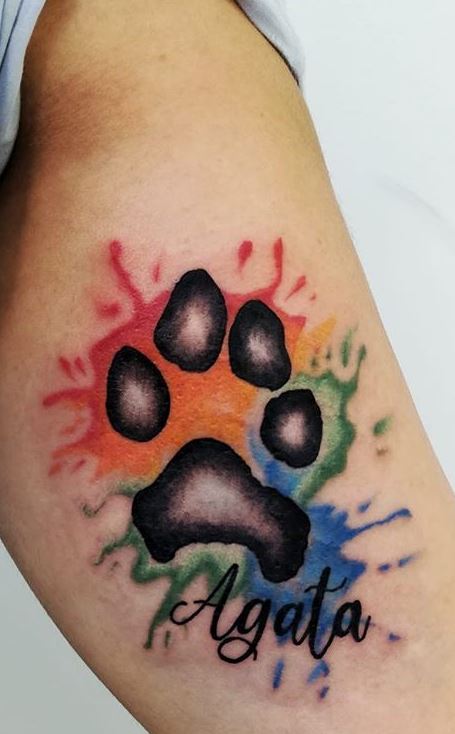 Pin by Rockin Timber on Tattoo ideas  Feminine tattoos Body art tattoos Dog  paw tattoo