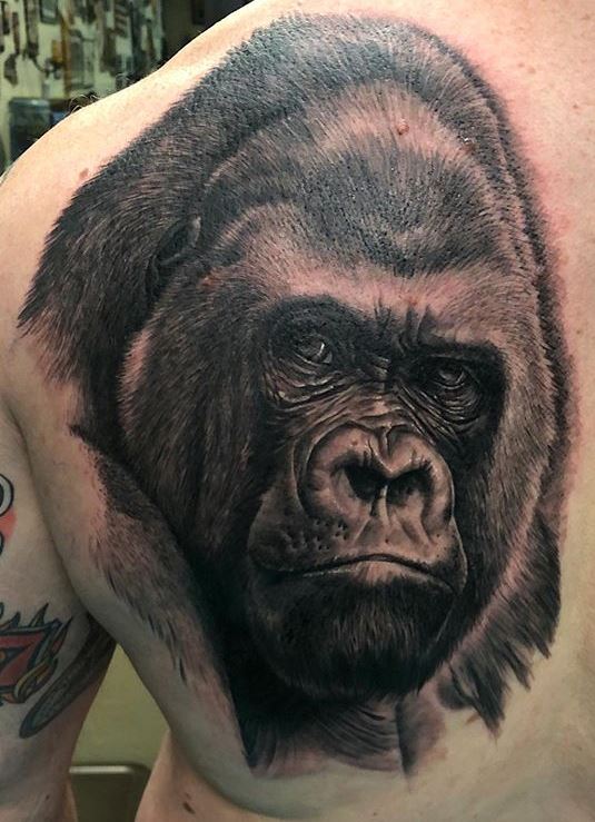 Gorilla chest piece hmc henrymcady clanlachlan london   Flickr