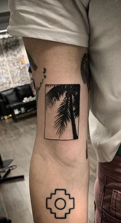Palm Tree Tattoos Biceps