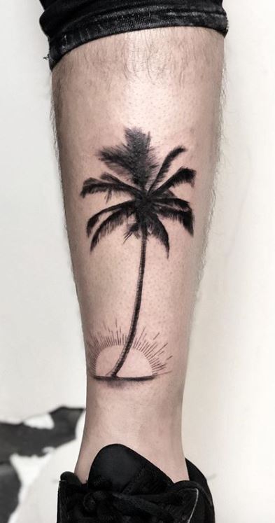 Singe Palm Tree