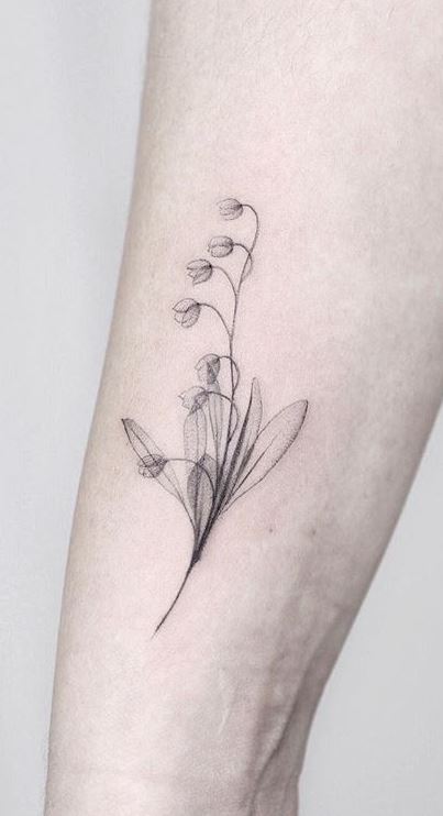 Sketch valley tattoo the lily of 