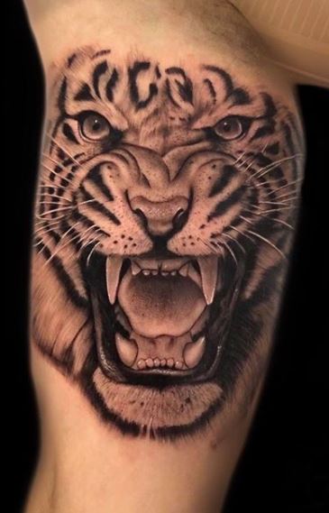 75 Trendy Tiger Tattoos - Designs, Ideas & Meaning - Tattoo Me Now