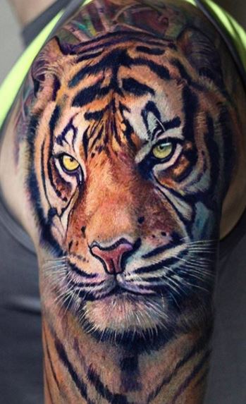 75 Trendy Tiger Tattoos - Designs, Ideas & Meaning - Tattoo Me Now 75 Trendy Tiger Tattoos - Designs, Ideas & Meaning - Tattoo Me Now