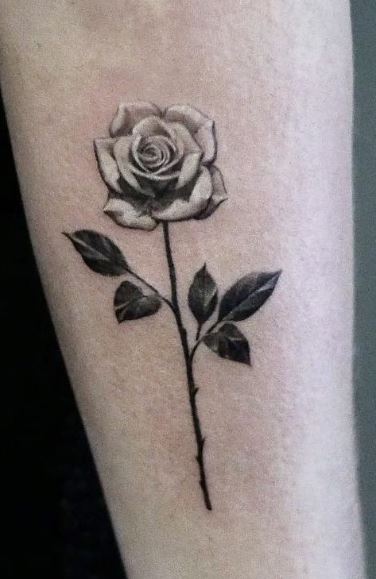 Dead Rose Tattoos Meanings and Design Ideas That You Can Try  Tattoo  Design