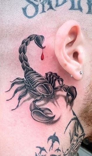 30 Of The Best Scorpion Tattoos For Men in 2023  FashionBeans