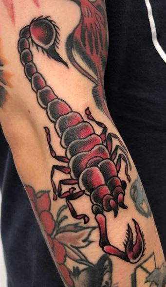 65 Trendy Scorpion Tattoos, Designs and Ideas - Tattoo Me Now 65 Trendy Scorpion Tattoos, Designs and Ideas - Tattoo Me Now
