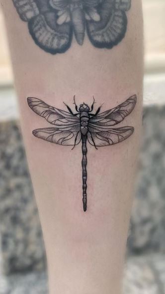 Black and Grey Dragonfly Tattoo Idea  BlackInk