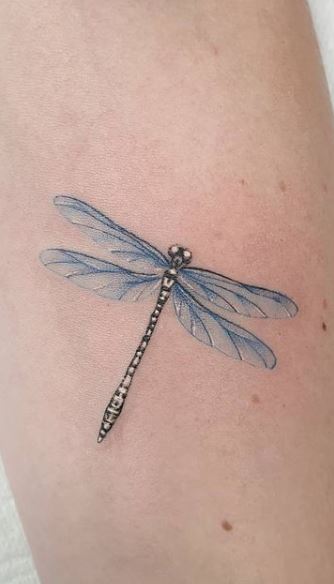 79 Artistic Dragonfly Tattoo Designs To Ink Sexy Your Body