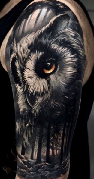 Black owl