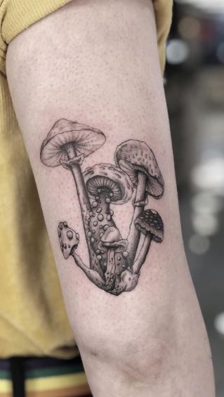 SAM LOW  Food  Beverage on Instagram PINK OYSTER MUSHROOM TATTOO   Tattoo inspired by the beautiful pink oyster mushrooms I used on  masterchefnz in the semi