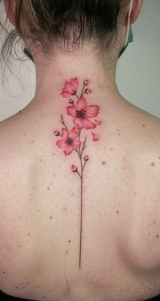 Cherry blossom back tattoo  Blossom tattoo Cherry blossom tattoo Cherry  blossom tattoo shoulder