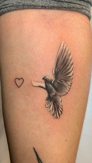 35 Lovely Dove Tattoos, Designs, Ideas & Meanings - Tattoo Me Now