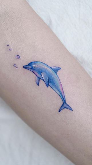 Dolphin Tattoo Meanings  iTattooDesignscom