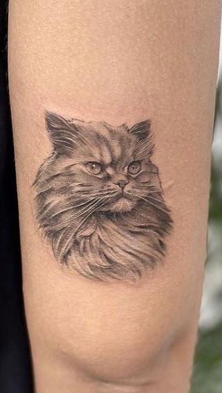 100 Trendy Cat Tattoos That You Must See - Tattoo Me Now