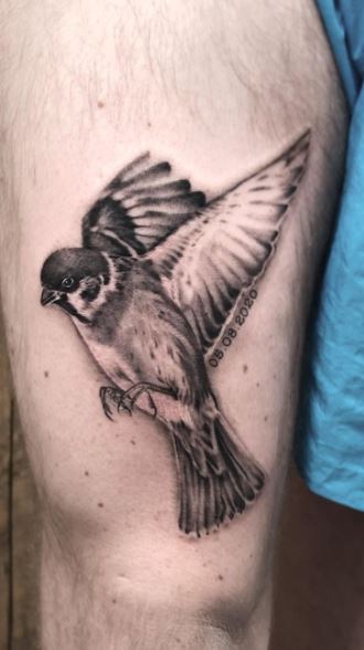 50 Cute Sparrow Tattoos Designs Ideas  Meanings  Tattoo Me Now